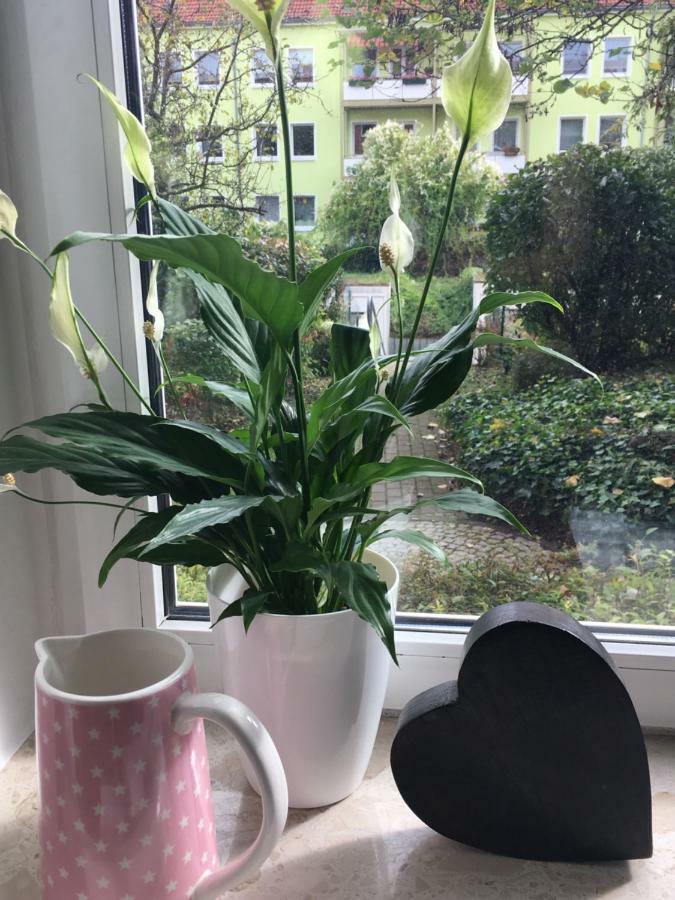 Gemuetliche Ferienwohnung Im Erdgeschoss- Jenaer Strasse Erfurt Exterior foto